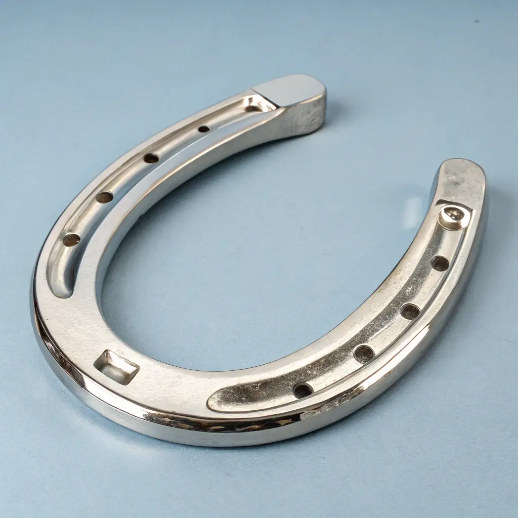 Horseshoe Set