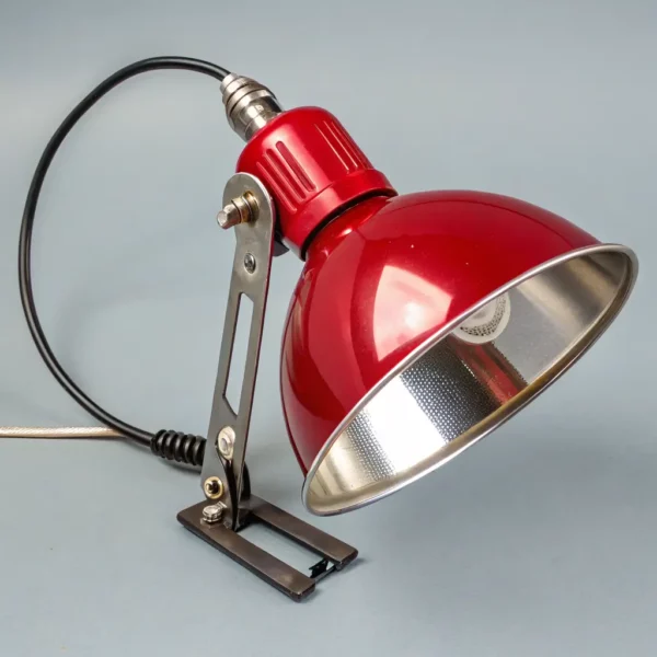 Reptile Heat Lamp